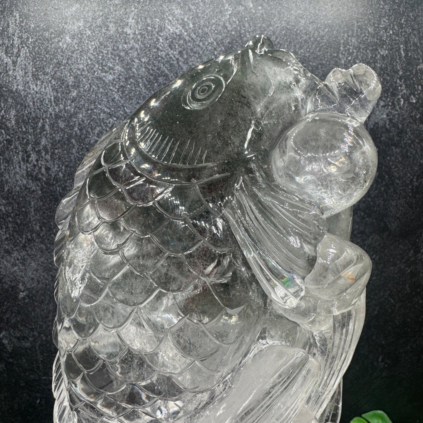 XL Rainbow Clear Quartz Lucky Fish on Stand - Sage & Magic