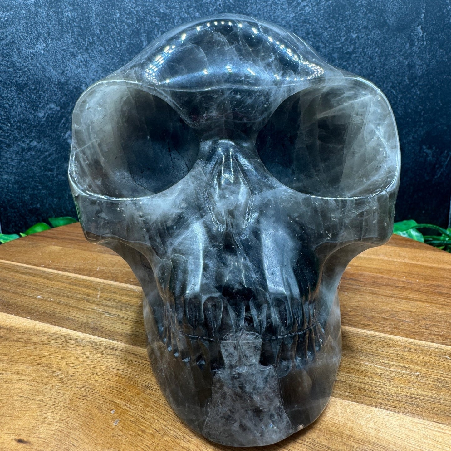 XL Smoky Quartz Mayan Alien Skull - Sage & Magic