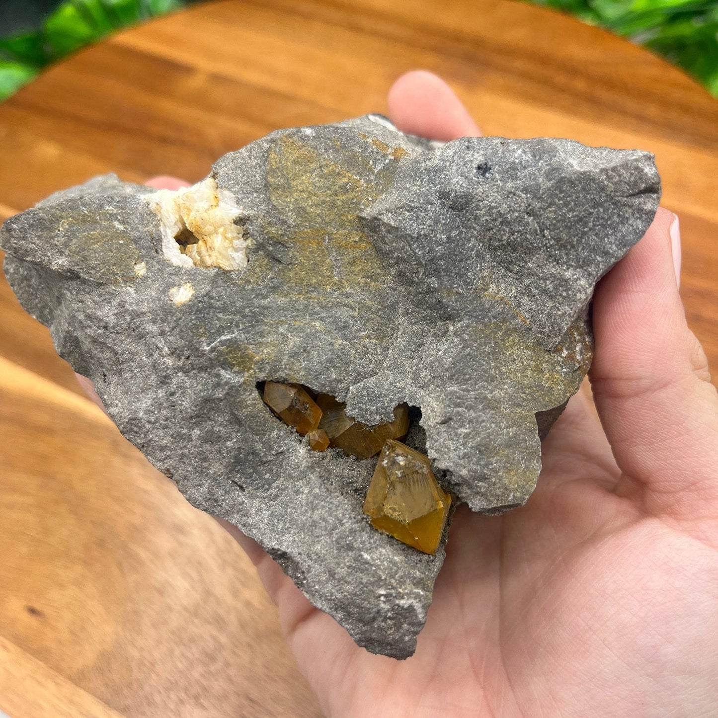 Yellow Apatite Dodecagon with Quartz Specimen - Sage & Magic