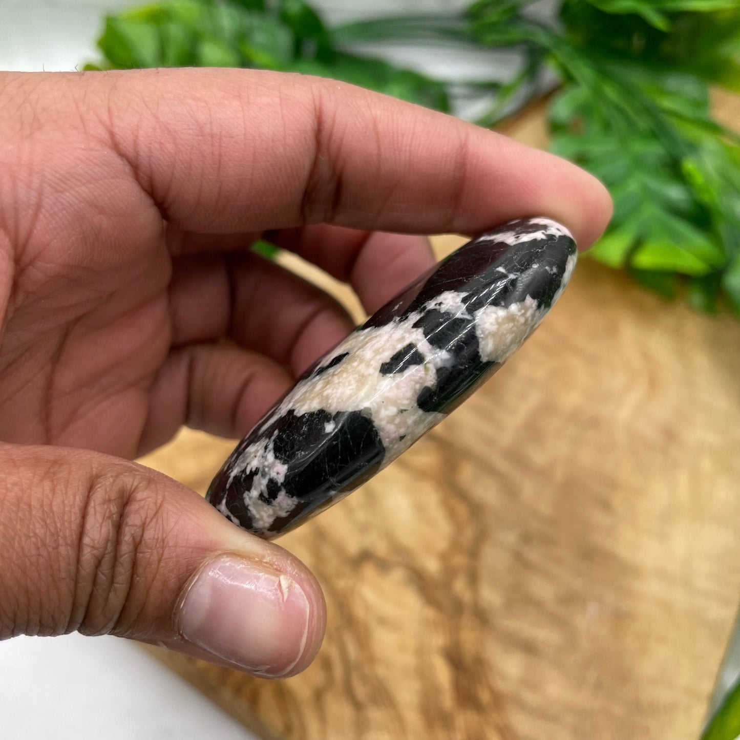 Zebra Jasper Palm Stone - Sage & Magic