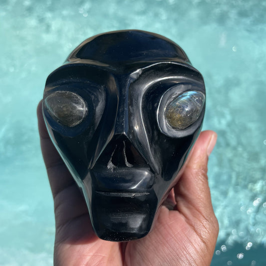Black Obsidian Alien Skull with Labradorite Eyes
