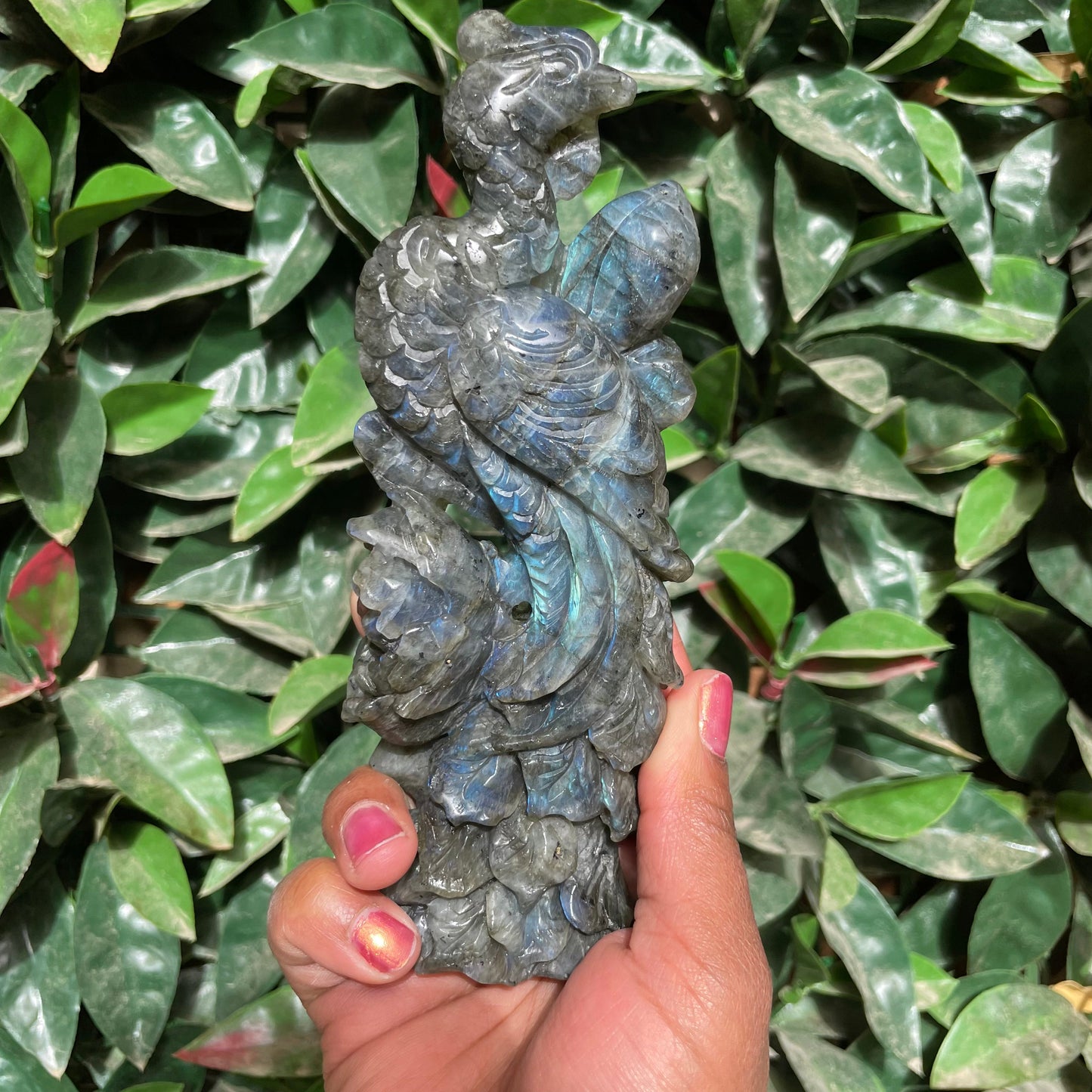 Blue High Flash Labradorite Peacock