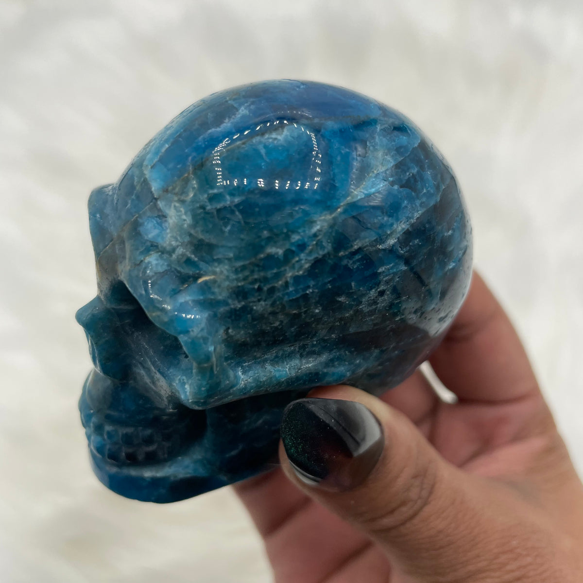 Cat’s Eye Blue Apatite Skull
