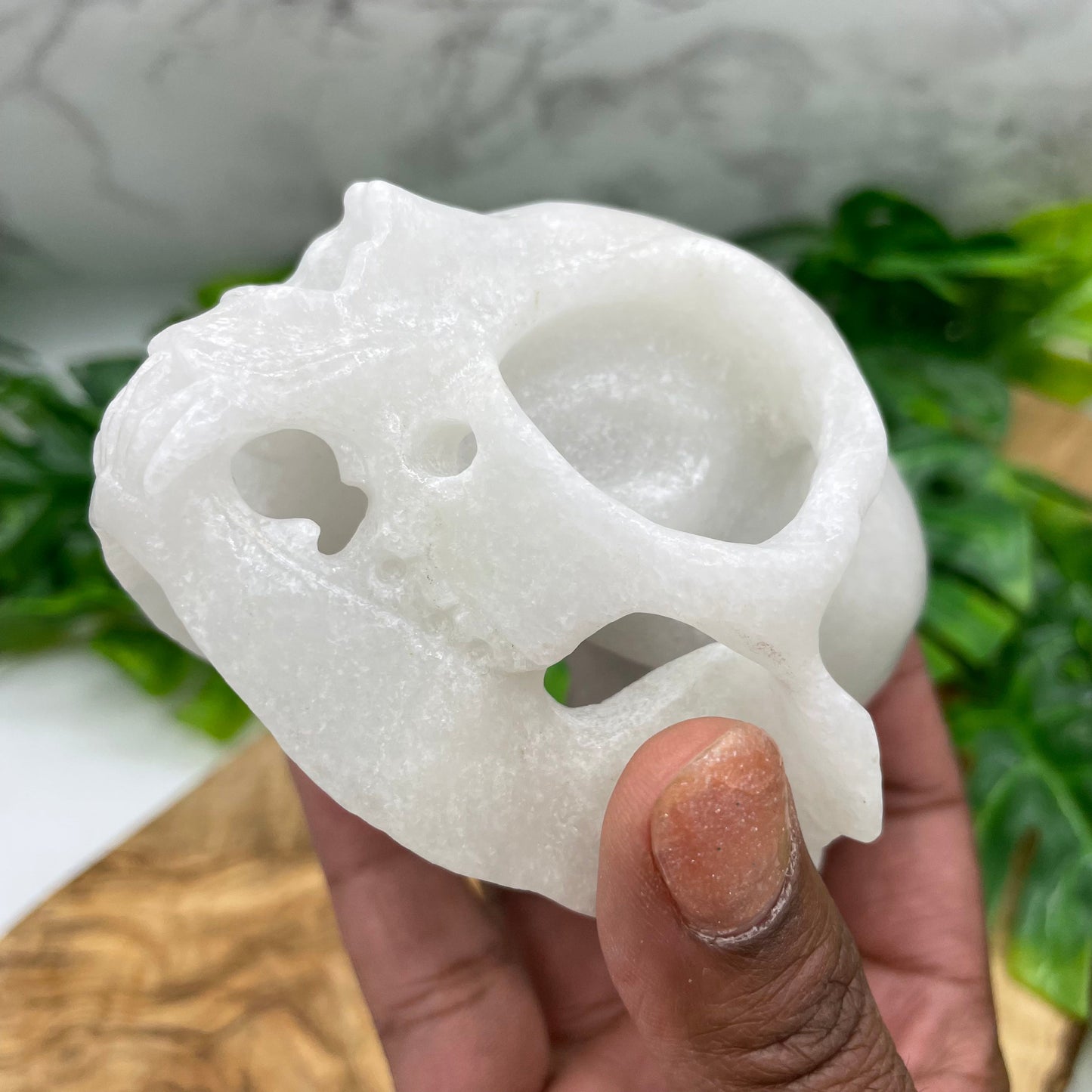 White Marble Rabbit Skull Oddities