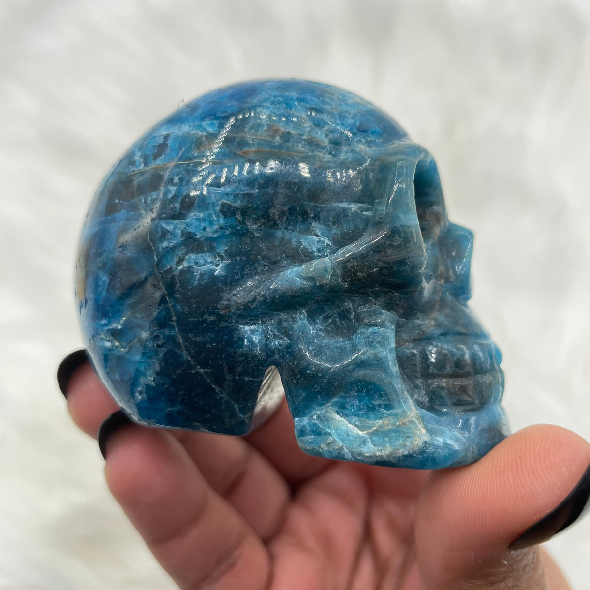 Cat’s Eye Blue Apatite Skull