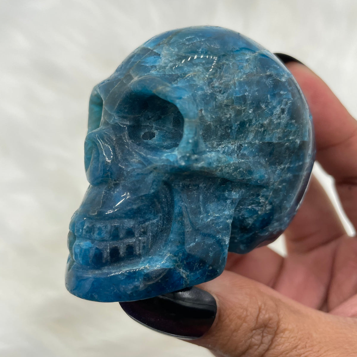 Cat’s Eye Blue Apatite Skull