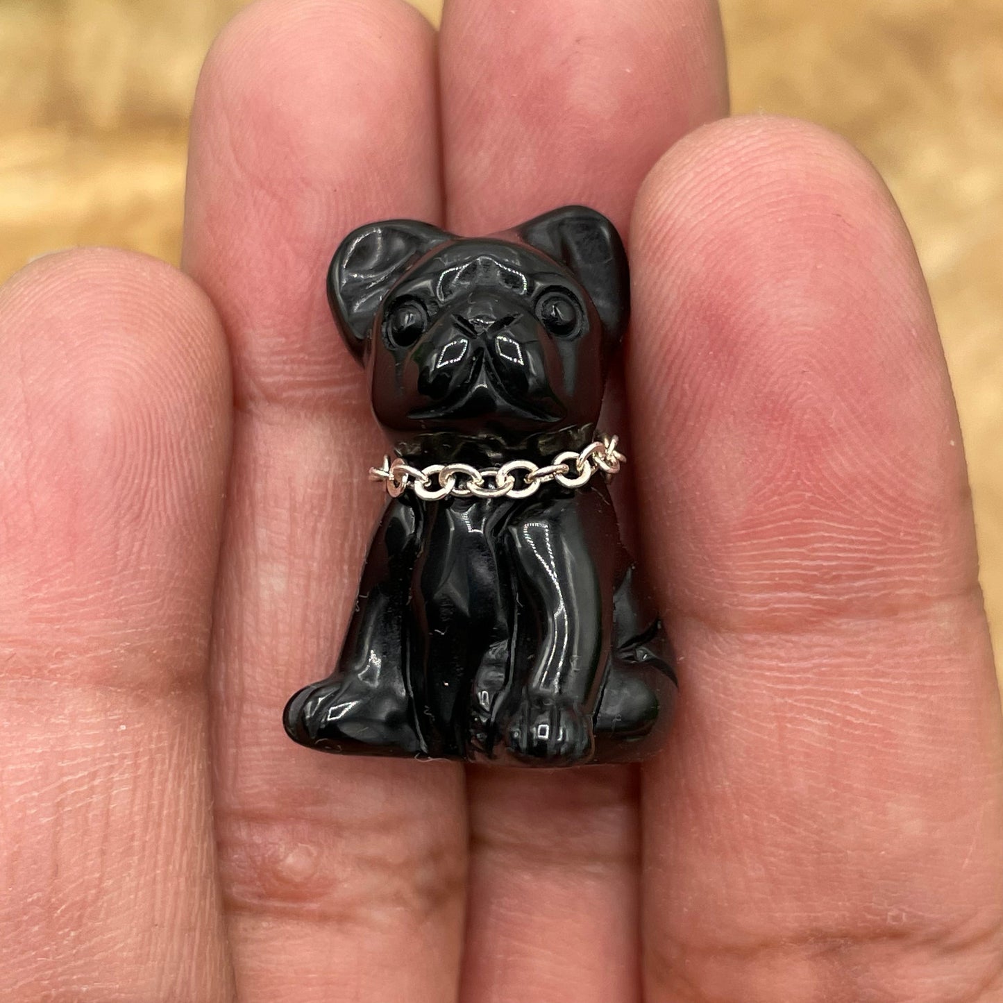 Mini Black Obsidian Frenchie Terrier Dog