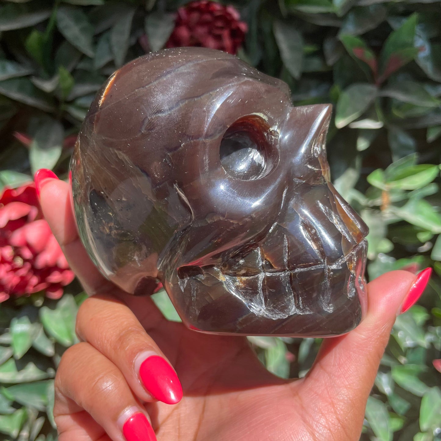 Sumatran Amber Skull
