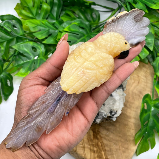 Yellow Calcite & Grey Agate Crystal Parrot