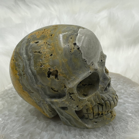 Hollowed Out Bumblebee Jasper Skull