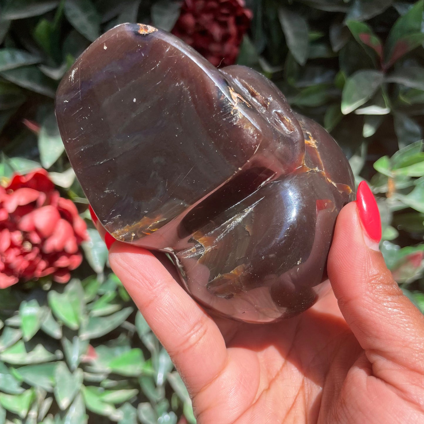 Sumatran Amber Skull