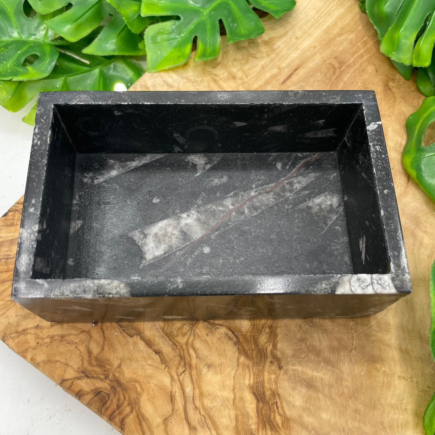 Black Ammonite Box with Lid