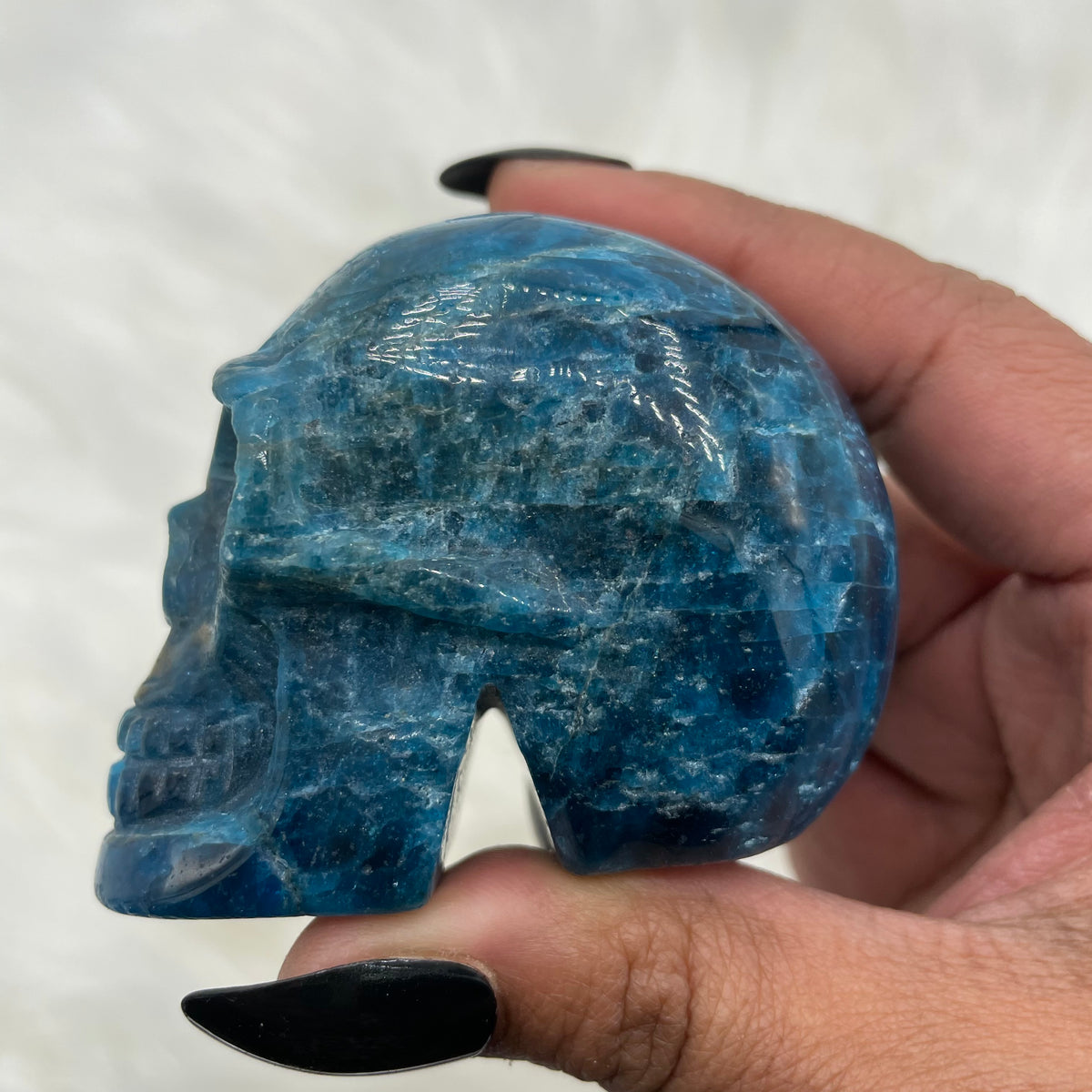 Cat’s Eye Blue Apatite Skull