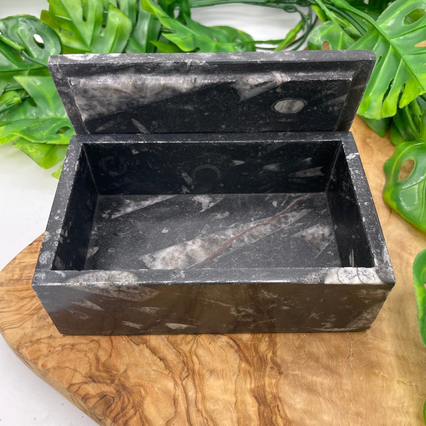 Black Ammonite Box with Lid