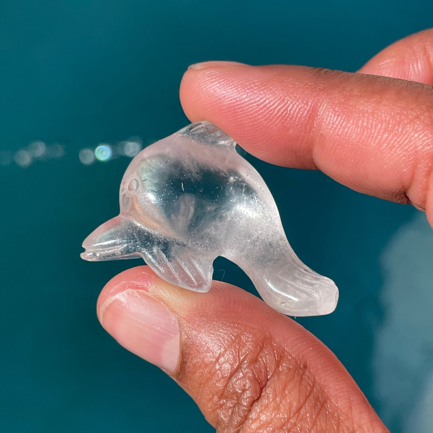 Mini Crystal Dolphin