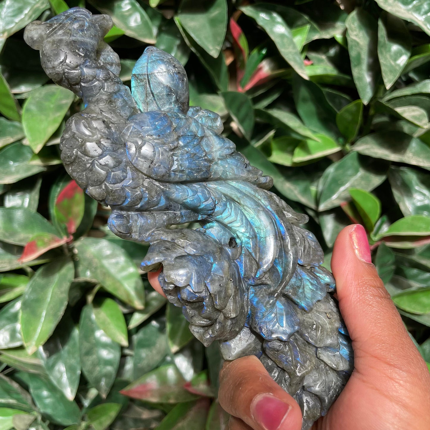 Blue High Flash Labradorite Peacock