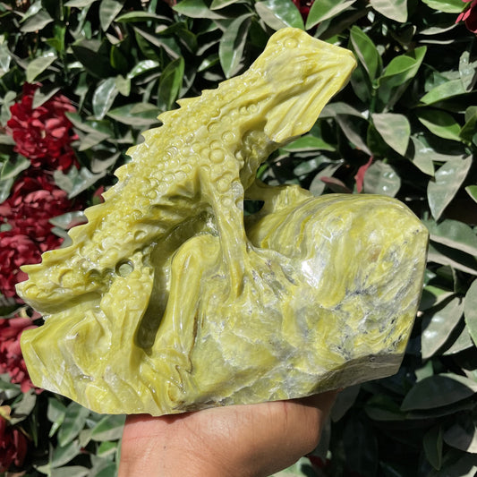 Lantian Jade Lizard