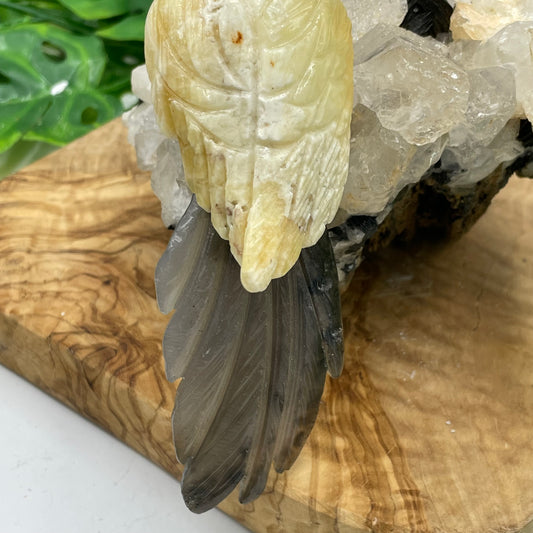 Yellow Calcite & Black Agate Crystal Parrot Carving