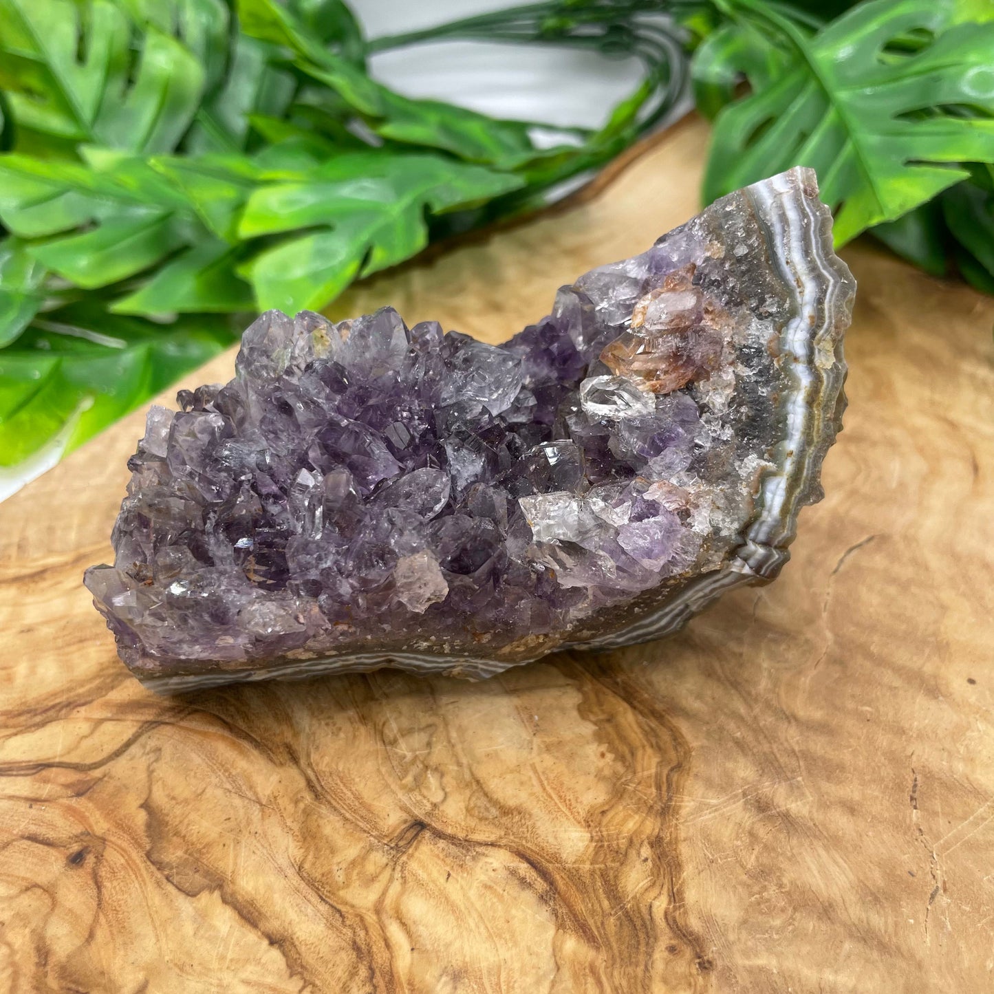 Amethyst Cluster with Hematite Inclusion