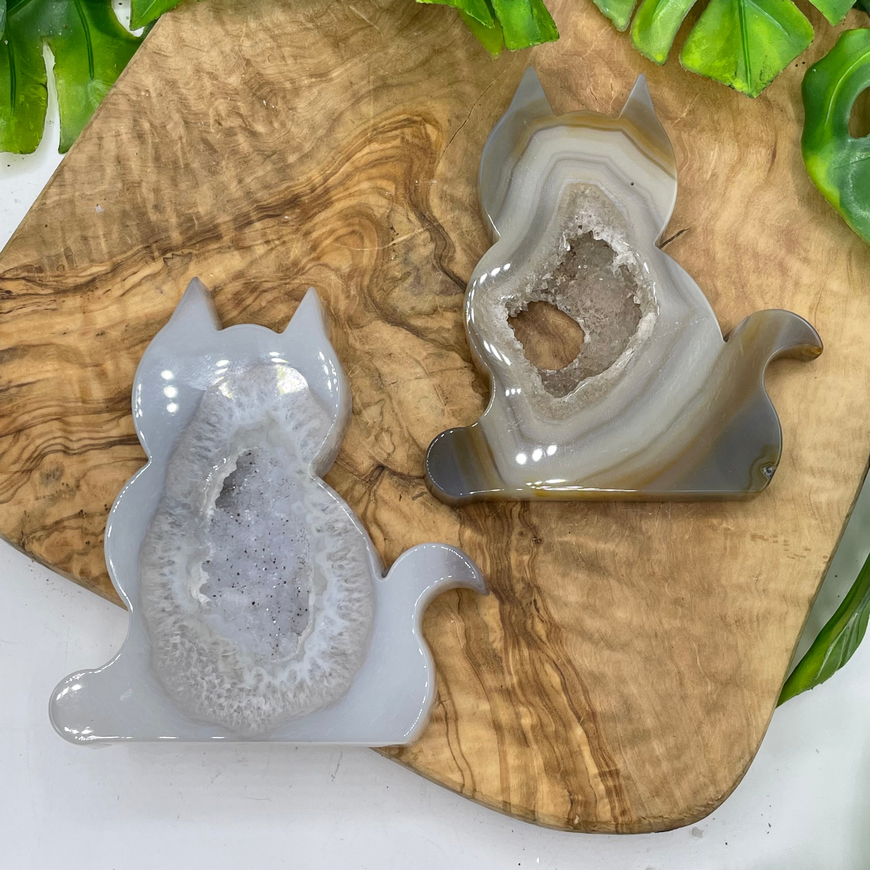 Cat Geode Agate Geode Cat – Sage & Magic