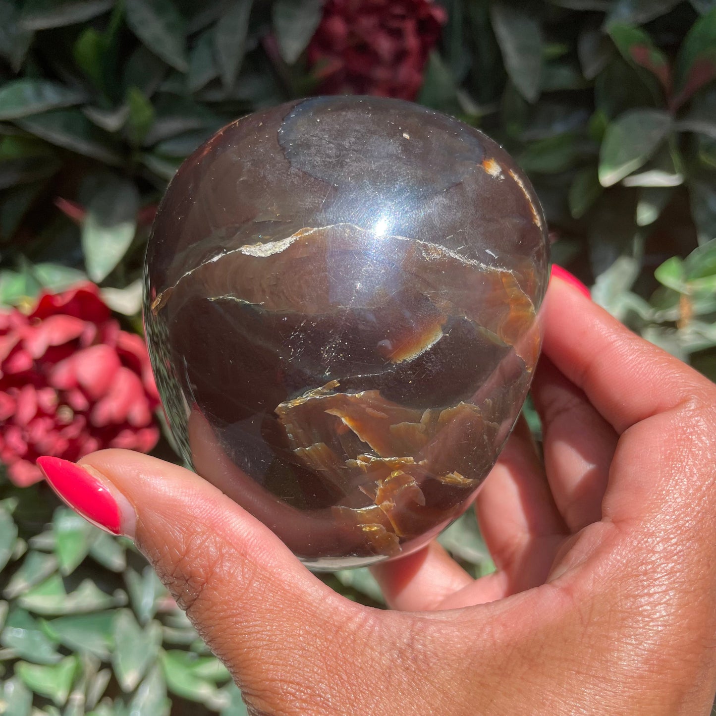 Sumatran Amber Skull
