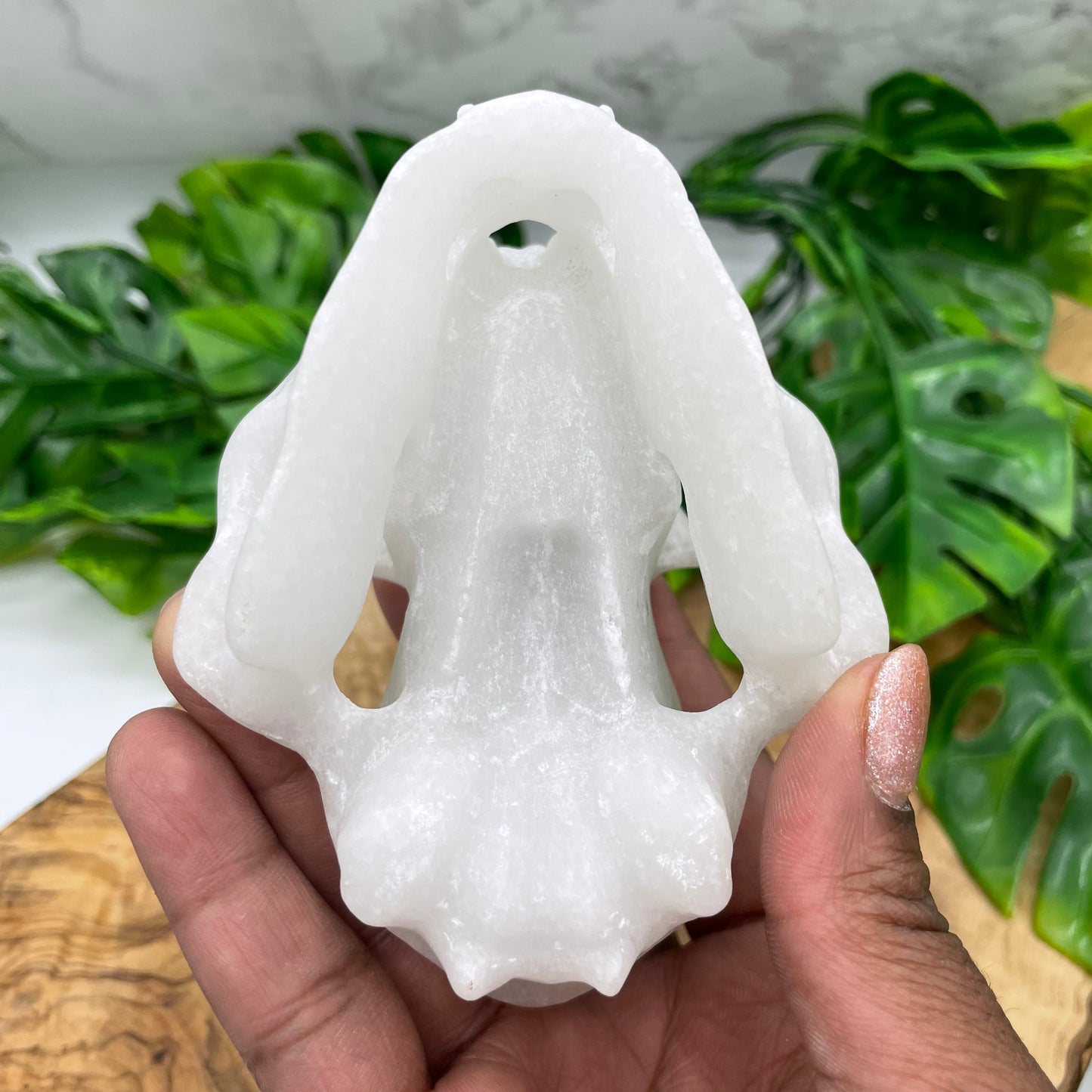 White Marble Rabbit Skull Oddities