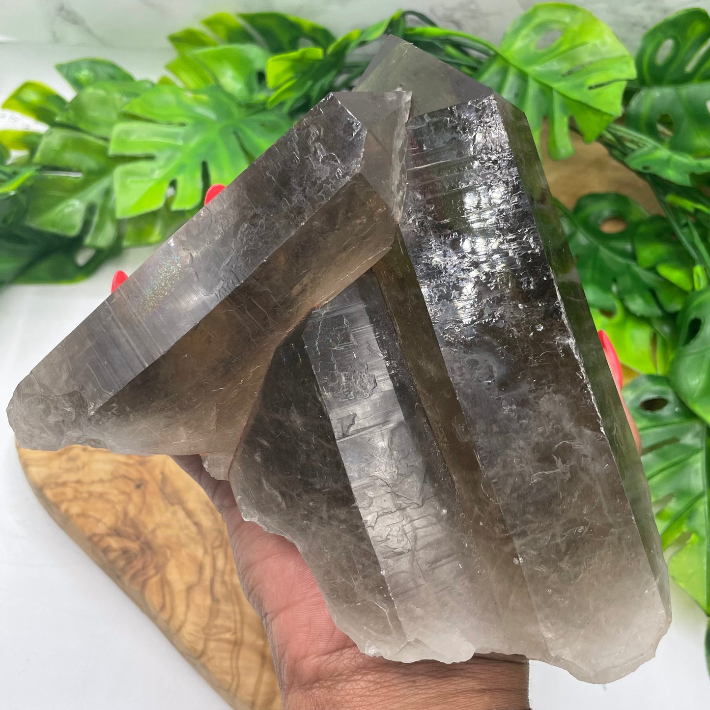 Brazilian Smoky Quartz Cluster