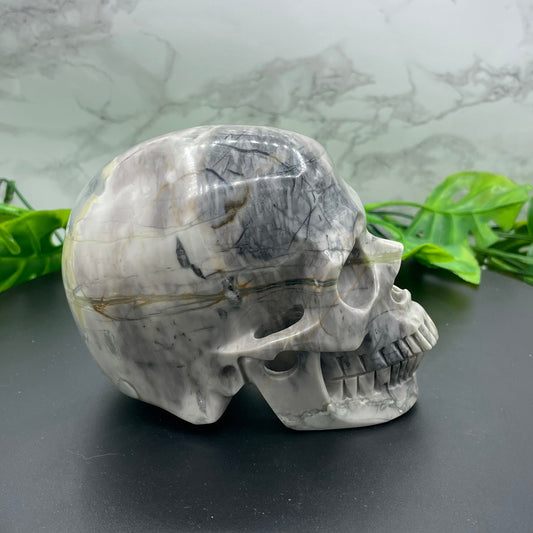 Picasso Jasper Skull