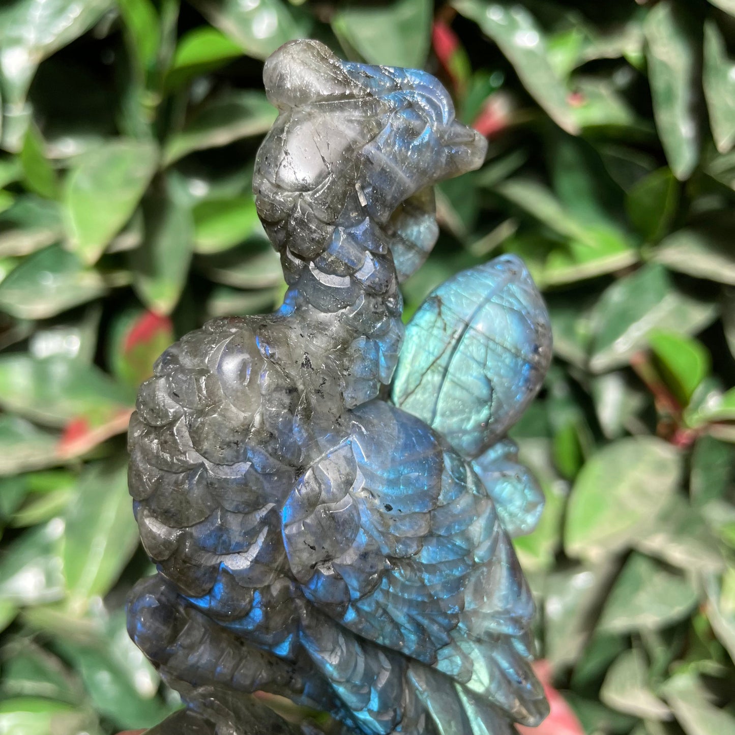 Blue High Flash Labradorite Peacock