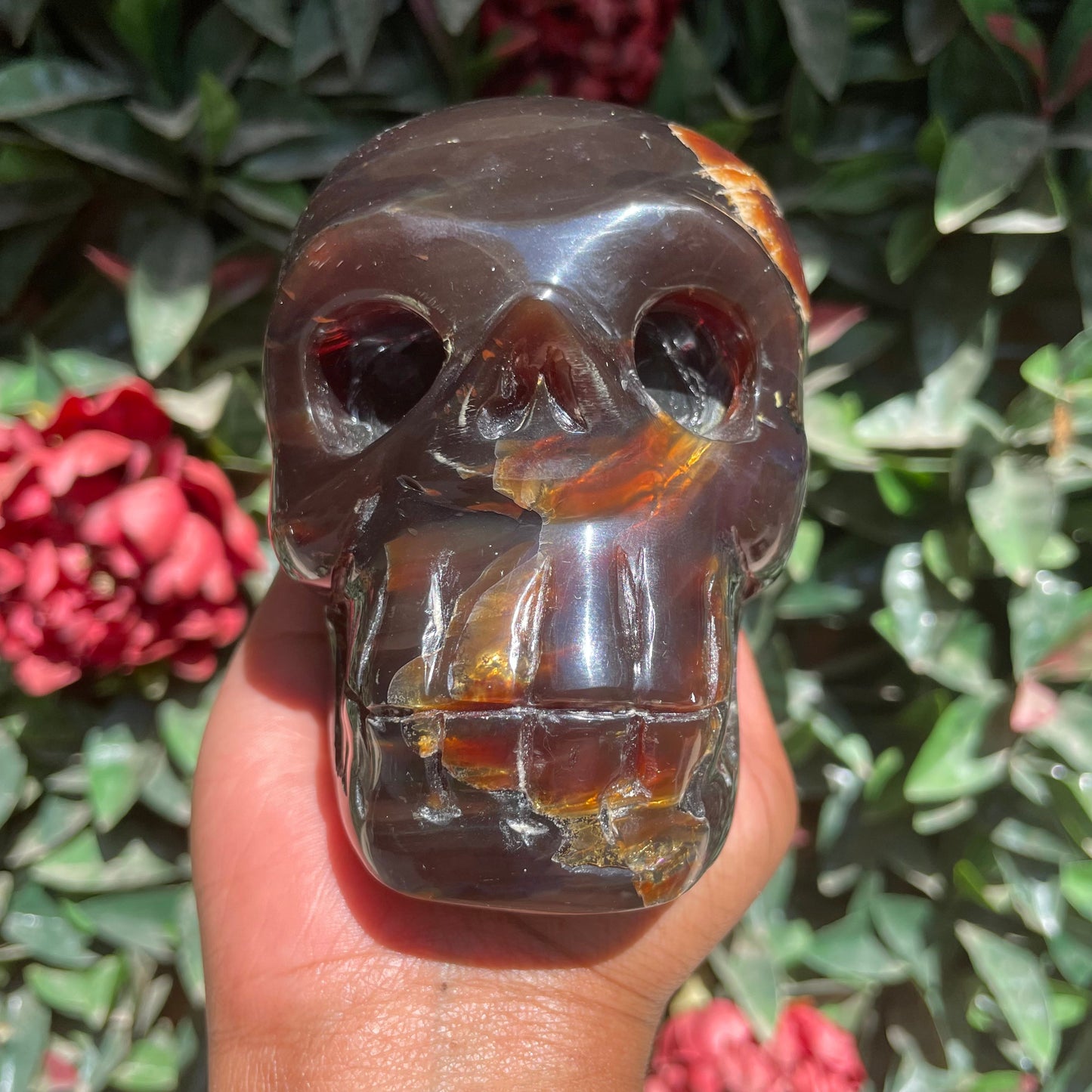 Sumatran Amber Skull