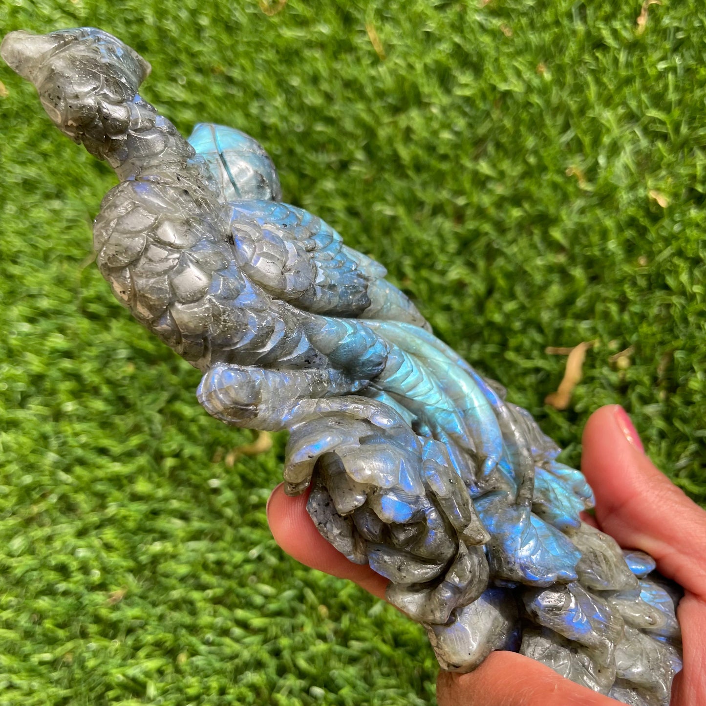 Blue High Flash Labradorite Peacock