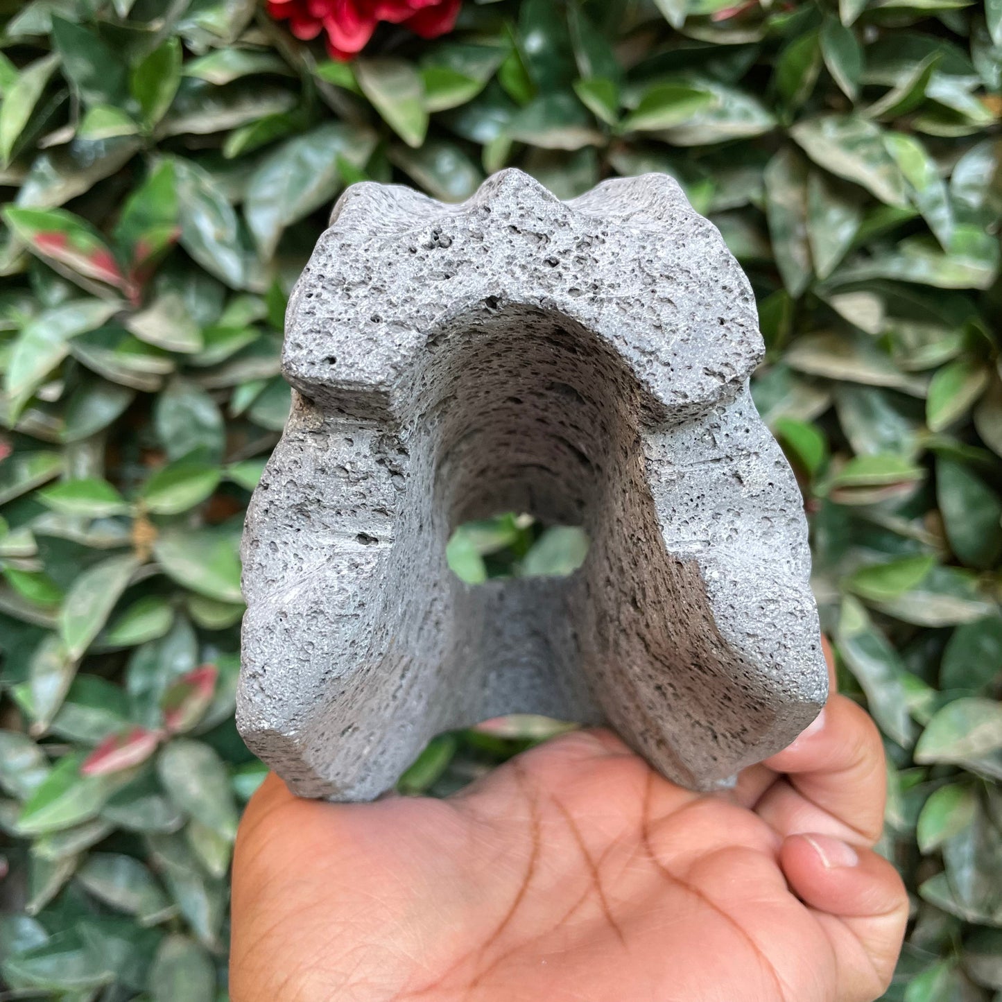 Large Lava Dino Skull