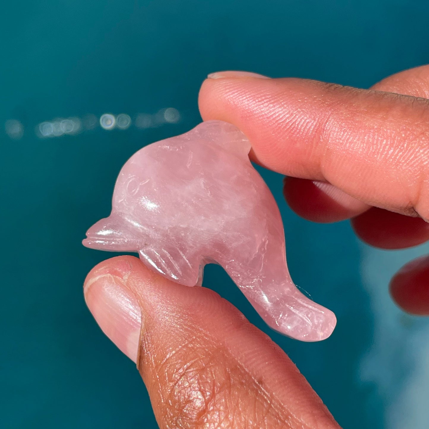 Mini Crystal Dolphin