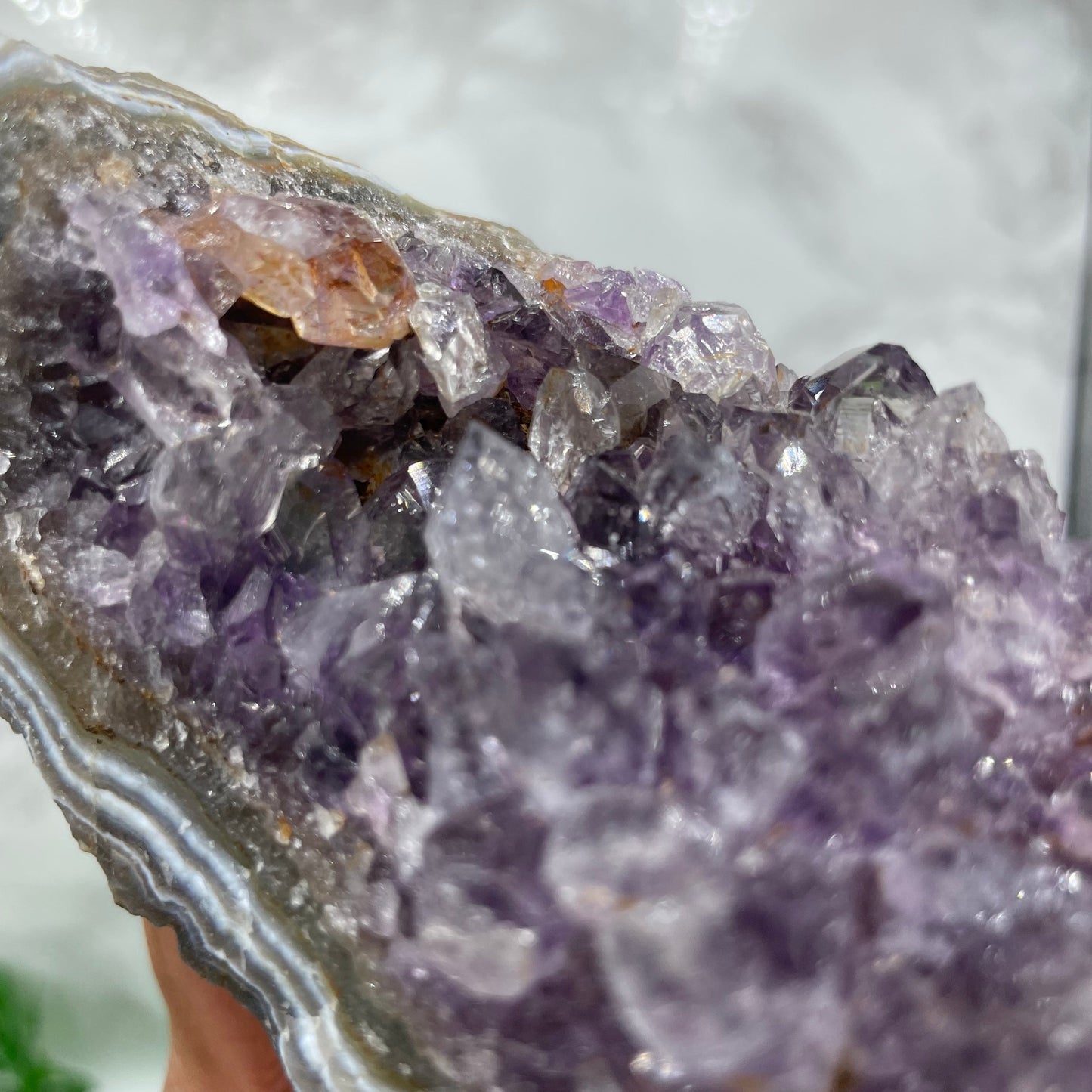 Amethyst Cluster with Hematite Inclusion