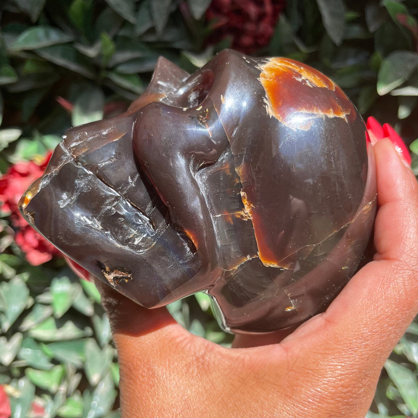 Sumatran Amber Skull
