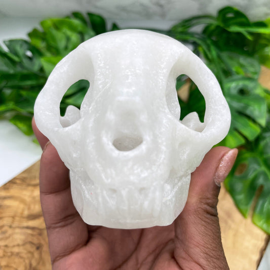 White Marble Rabbit Skull Oddities