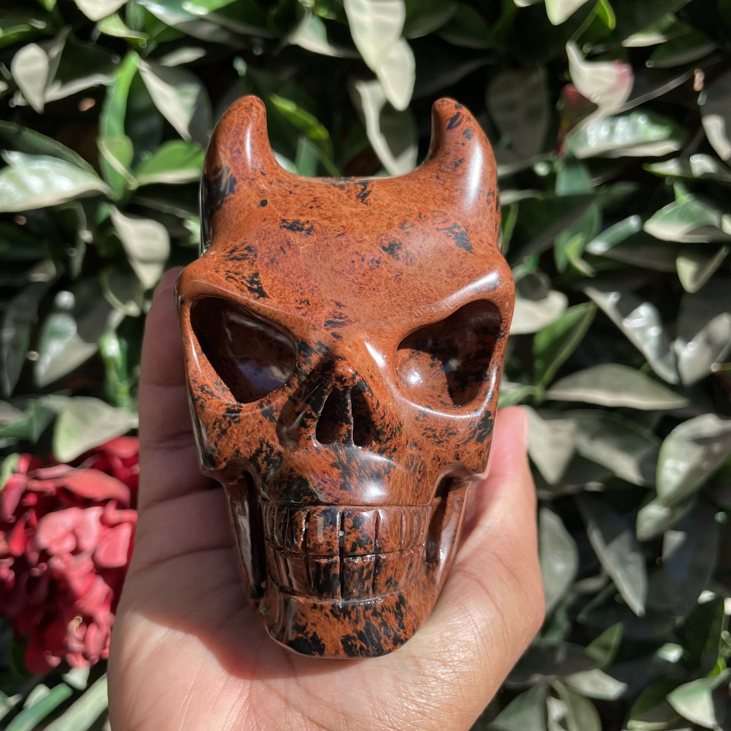 Mahogany Obsidian Demon Skull