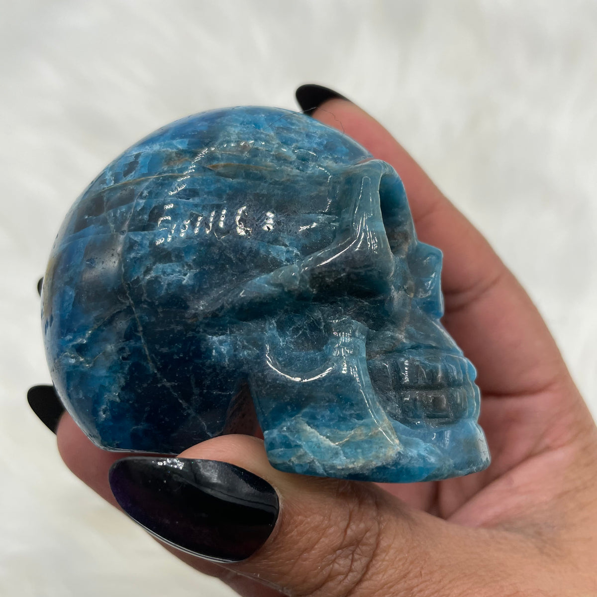 Cat’s Eye Blue Apatite Skull