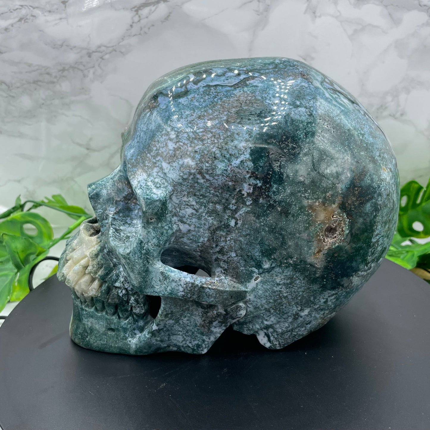 Large Two Tone Ocean Jasper Skull