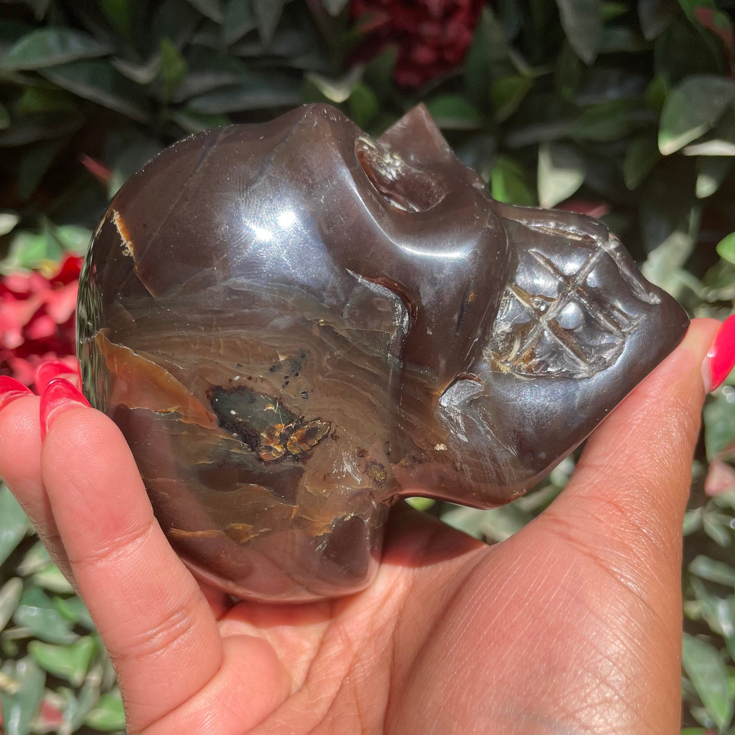 Sumatran Amber Skull