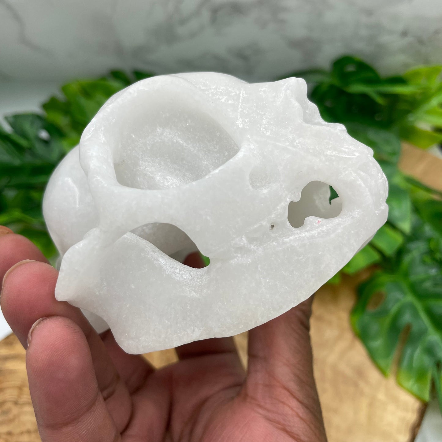 White Marble Rabbit Skull Oddities