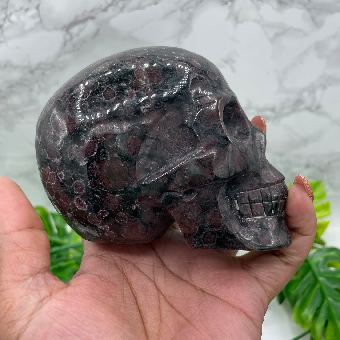Almandine Garnet Skull