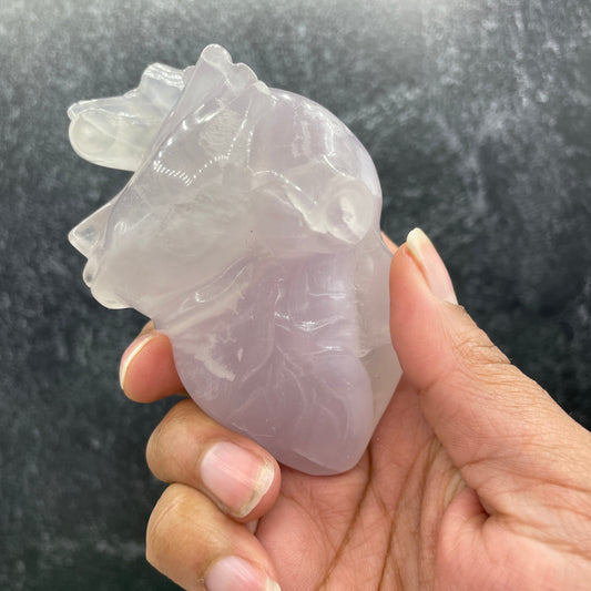 Anatomical Crystal Heart