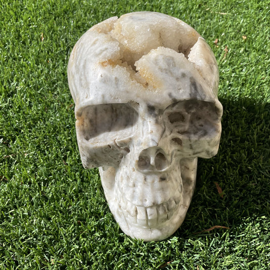 Massive 17 lb Druzy Agate Skull