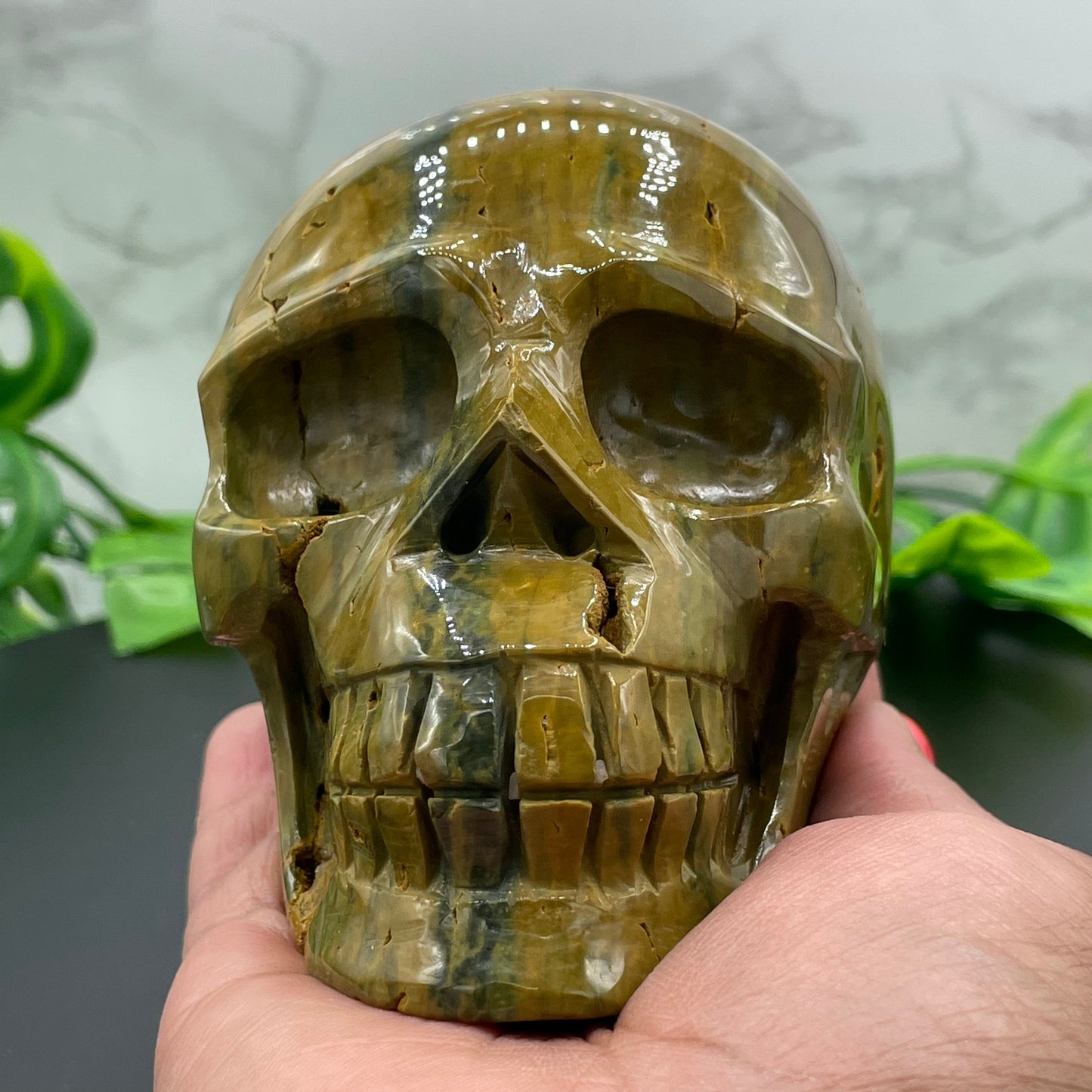 Olive Green Striped Ocean Jasper Skull