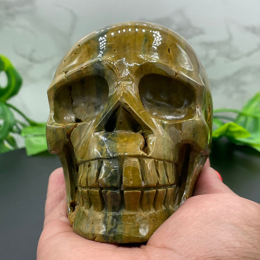 Olive Green Striped Ocean Jasper Skull