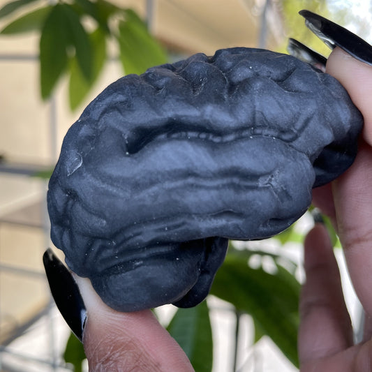 Natural Obsidian Brain