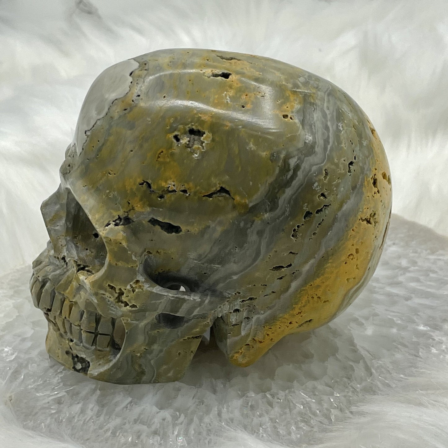 Hollowed Out Bumblebee Jasper Skull