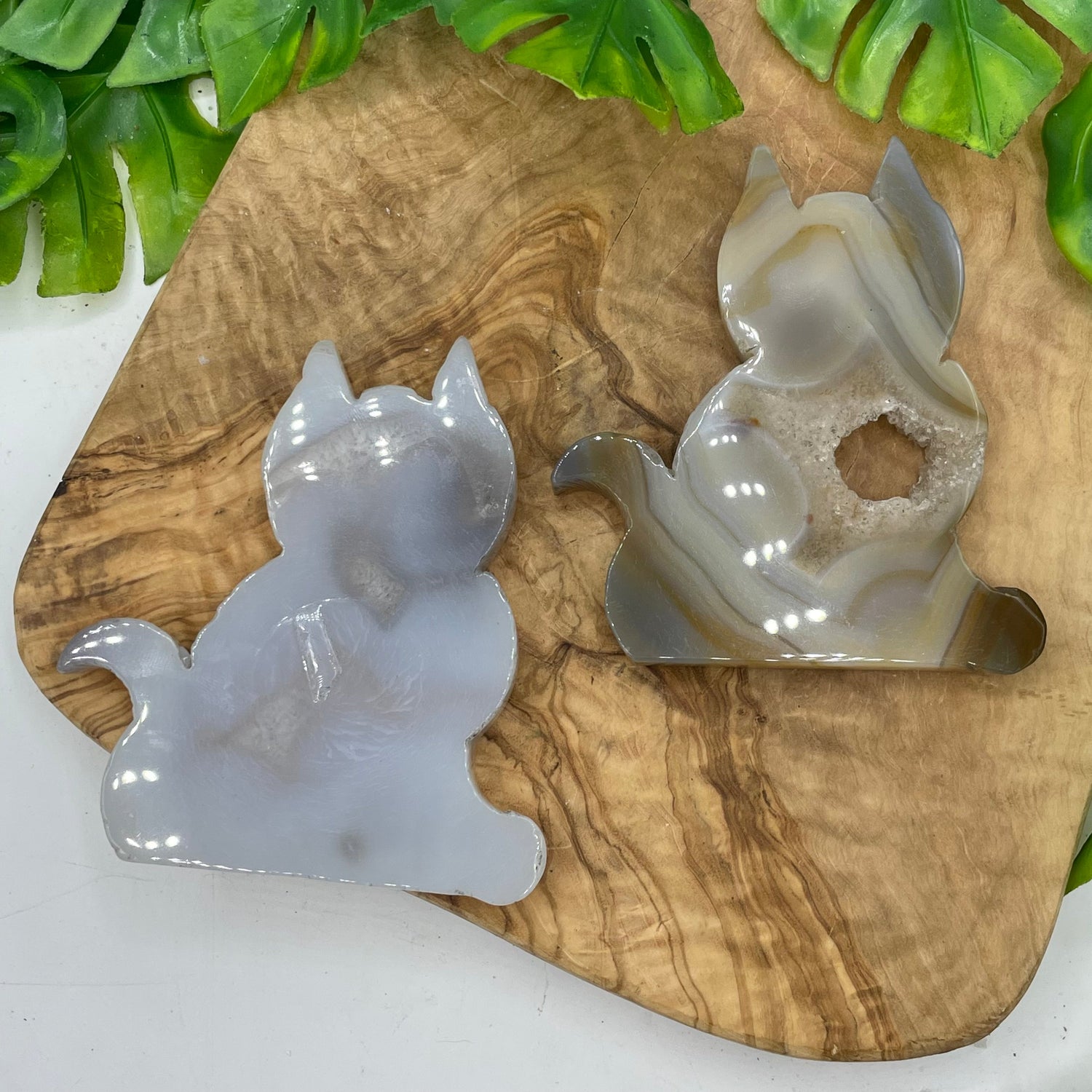 Cat Geode Agate Geode Cat – Sage & Magic