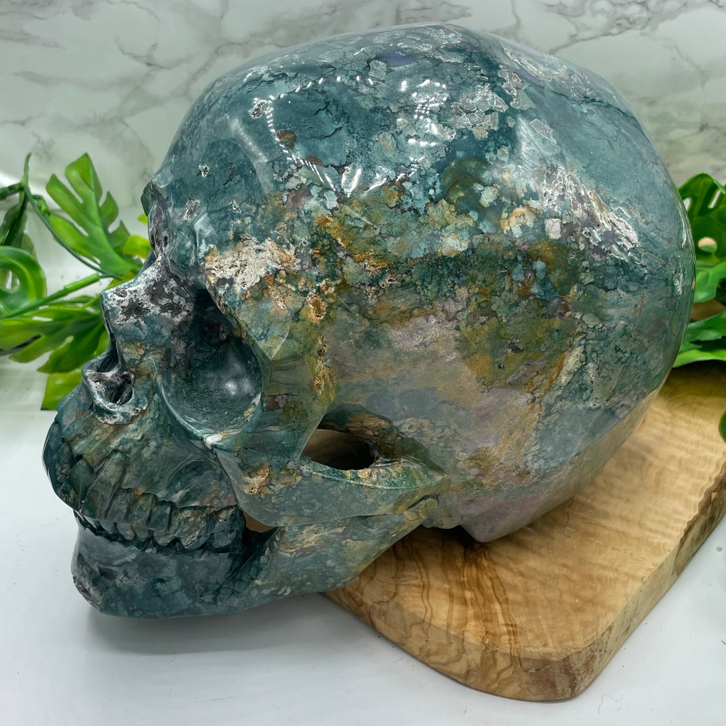 XL Ocean Jasper Skull